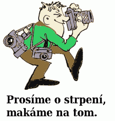 Obrázek pro Pistole samonabíjecí TT-33, 7,62x25 Tokarev+300 nábojů, náhr. zásobník, kožené pouzdro-komise